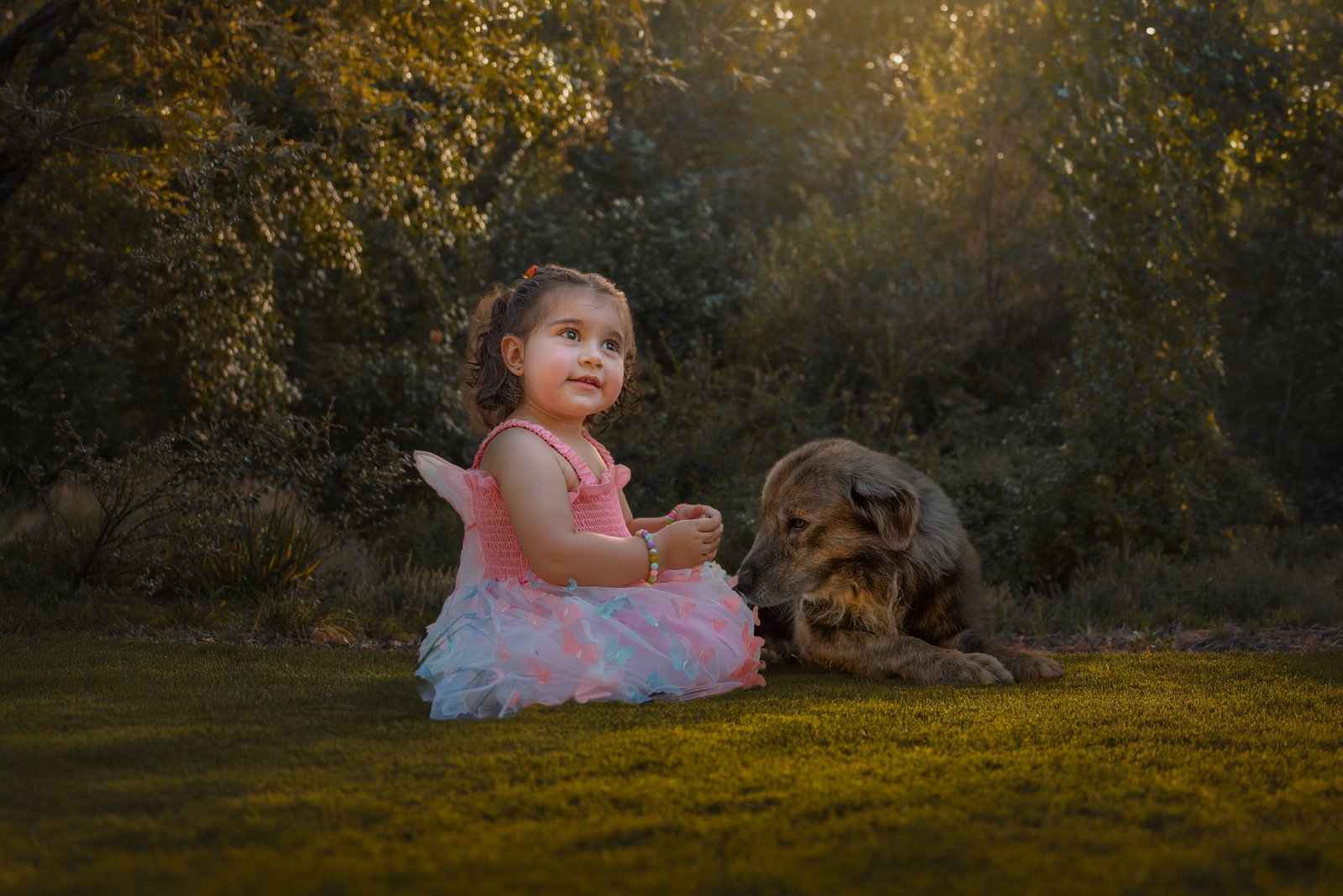 Portfólio casamento